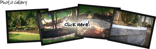 photo gallery